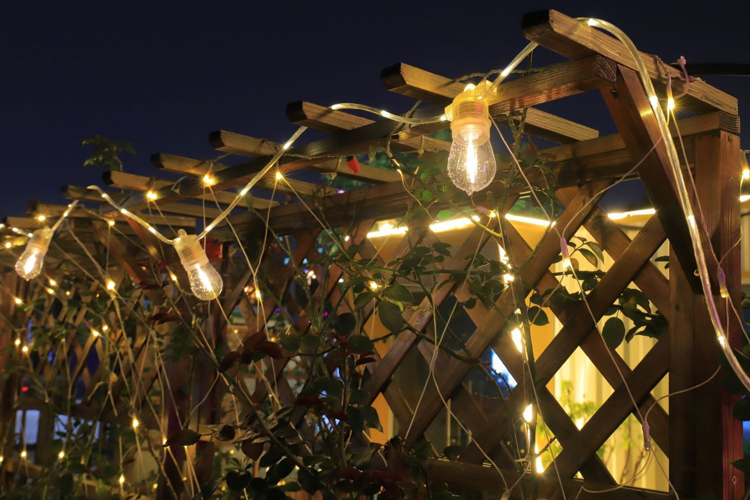 Transparent luminous wire (replaceable)