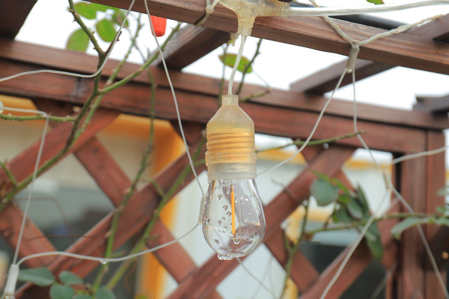 Transparent luminous wire (replaceable)