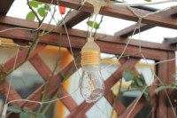 Transparent luminous wire (replaceable)