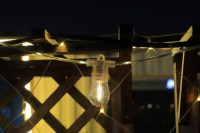 Transparent luminous wire (replaceable)