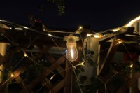 Transparent luminous wire (replaceable)